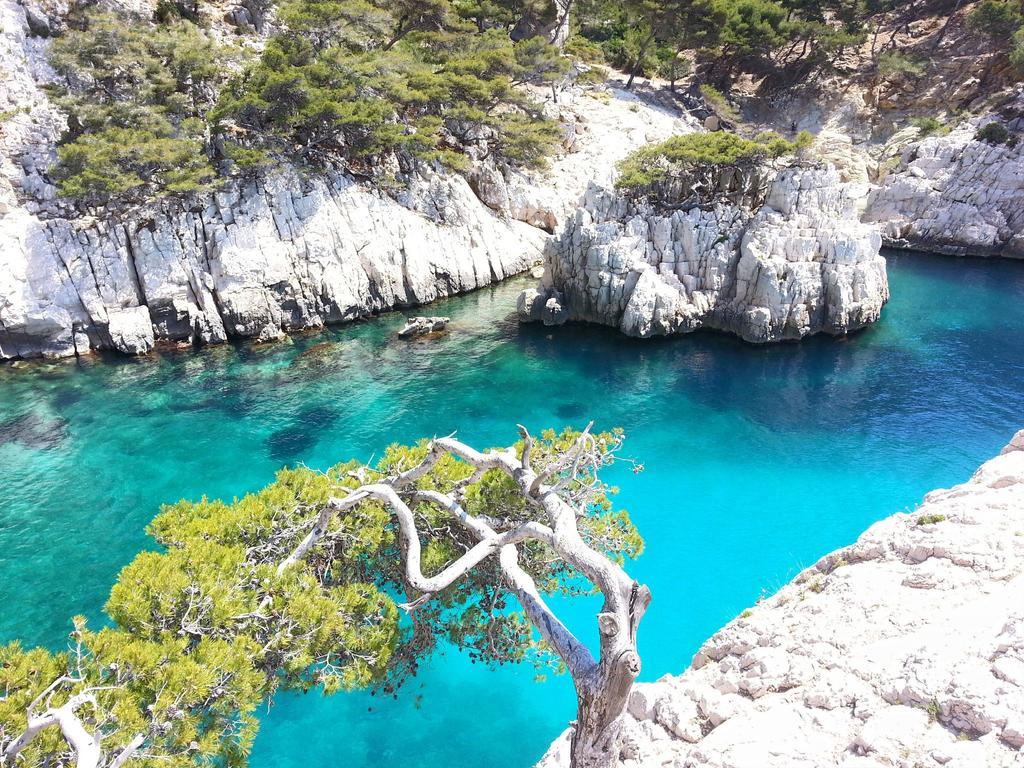 مارسيليا La Palmeraie المظهر الخارجي الصورة
