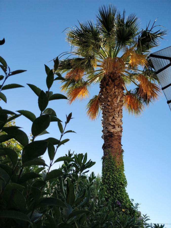 مارسيليا La Palmeraie المظهر الخارجي الصورة