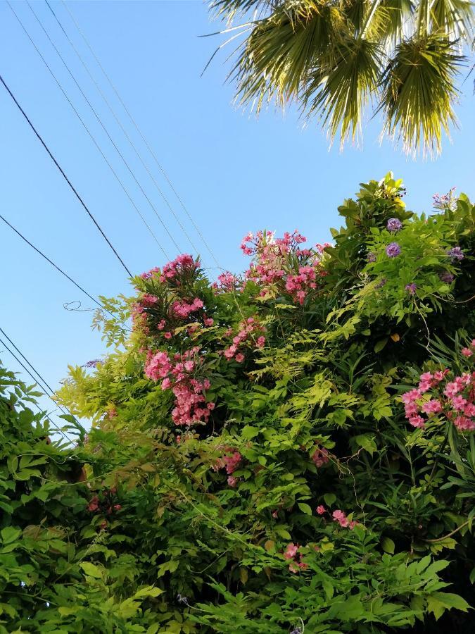 مارسيليا La Palmeraie المظهر الخارجي الصورة